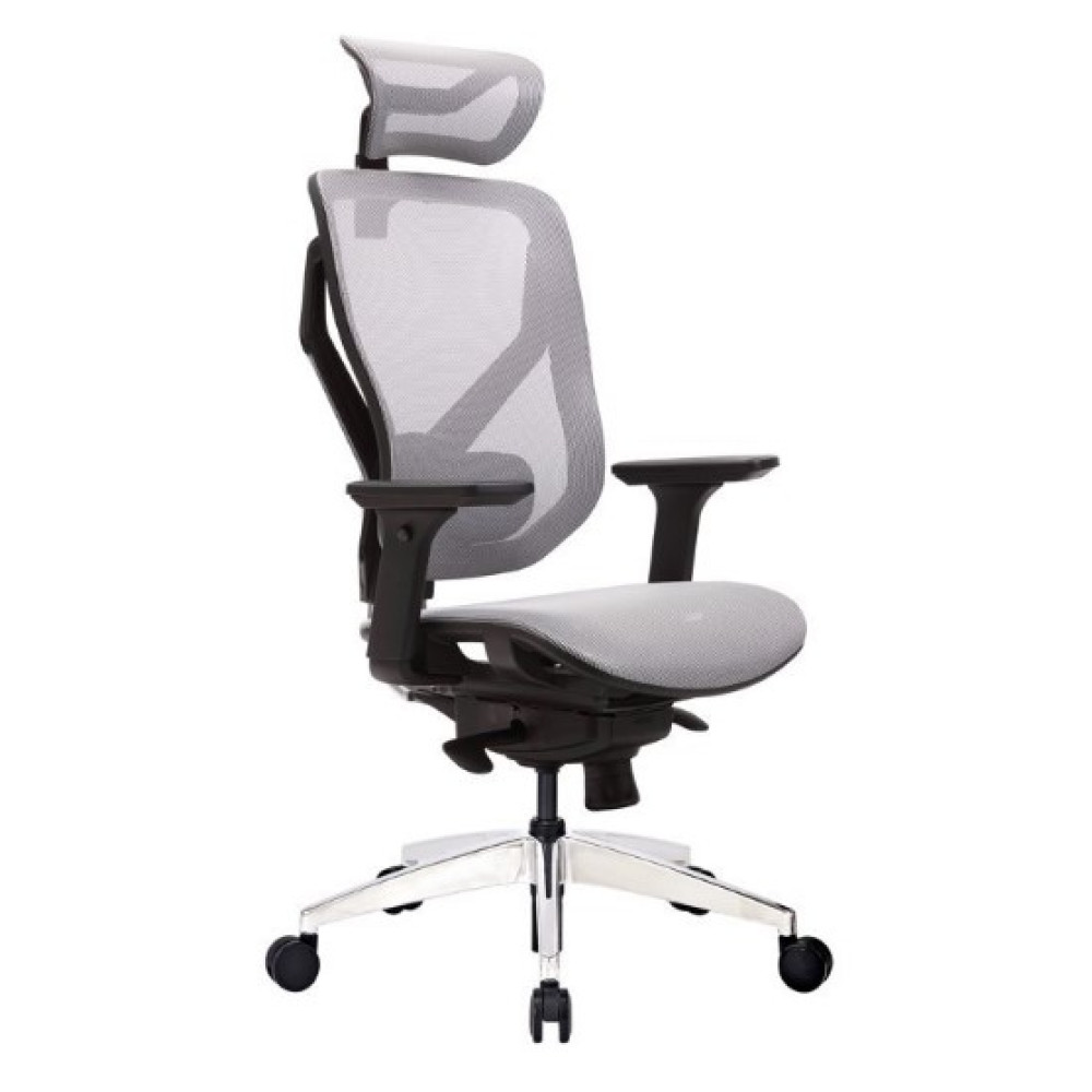 Ергономічне крісло GT Chair Vida A GT