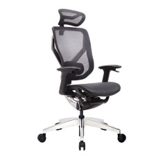 Ергономічне крісло GT Chair Vida X GT
