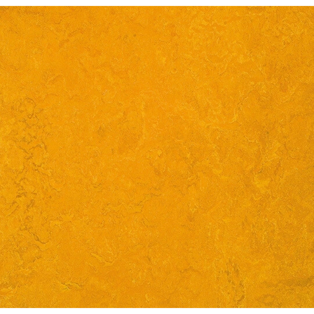 Натуральный линолеум Forbo 2m 3125 golden sunset