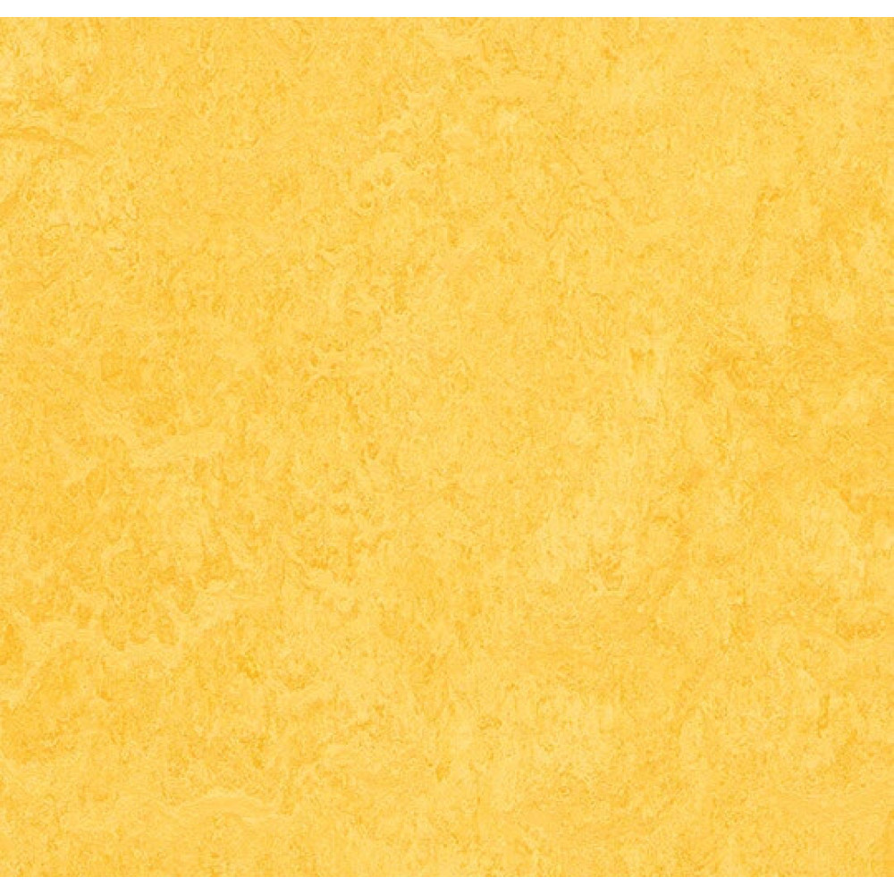 Натуральный линолеум Forbo 2m 3251 lemon zest