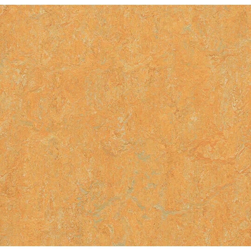 Натуральный линолеум Forbo 2m 3847 golden saffron