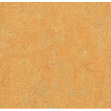 Натуральний лінолеум Forbo 2m 3847 golden saffron