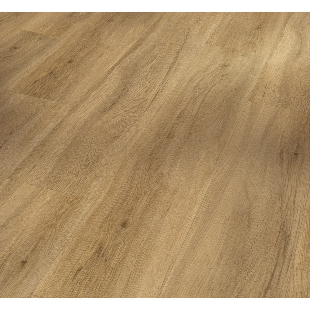 Виниловые полы Parador Basic 5.3 Oak Sierra natural