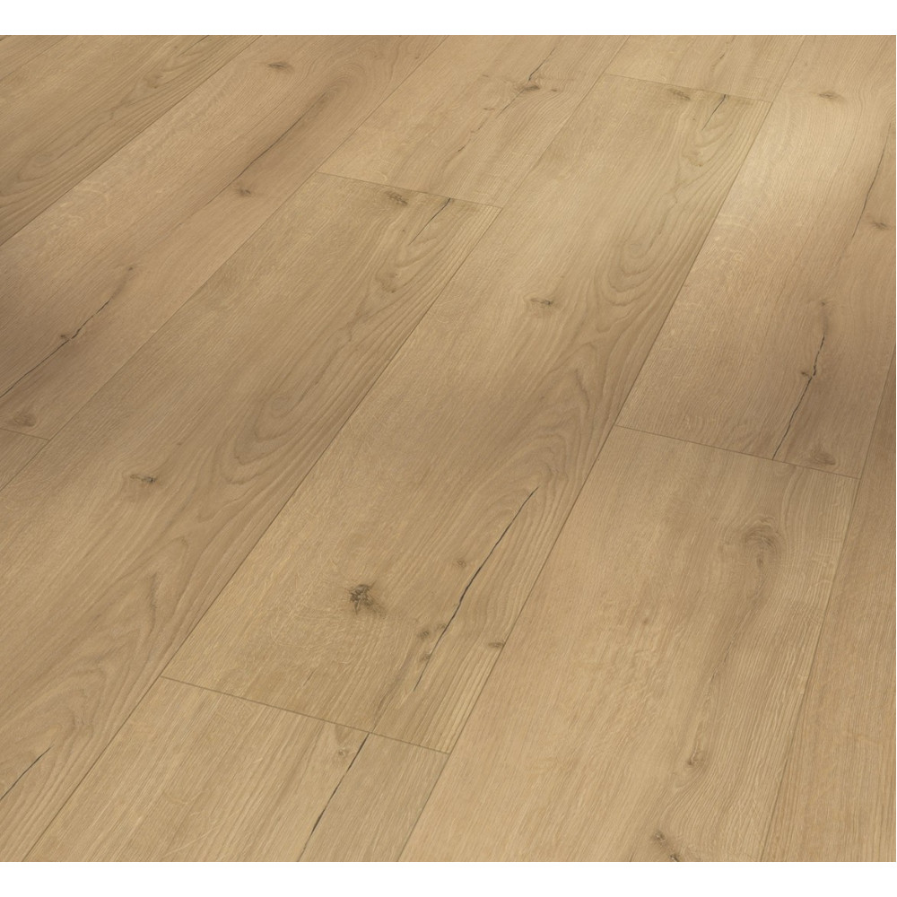 Виниловые полы Parador Basic 5.3 Oak Infinity natural